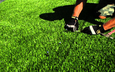 Artificial Grass